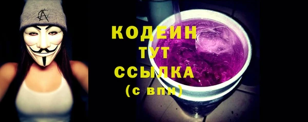 гидра Арсеньев