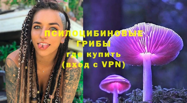 гидра Армянск