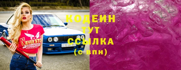 гидра Арсеньев