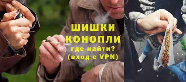 гидра Арсеньев